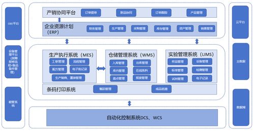 2024年度上市公司数字化转型最佳实践丨云南白药 云南白药牙膏智能工厂 百年老字号实践工业 4.0